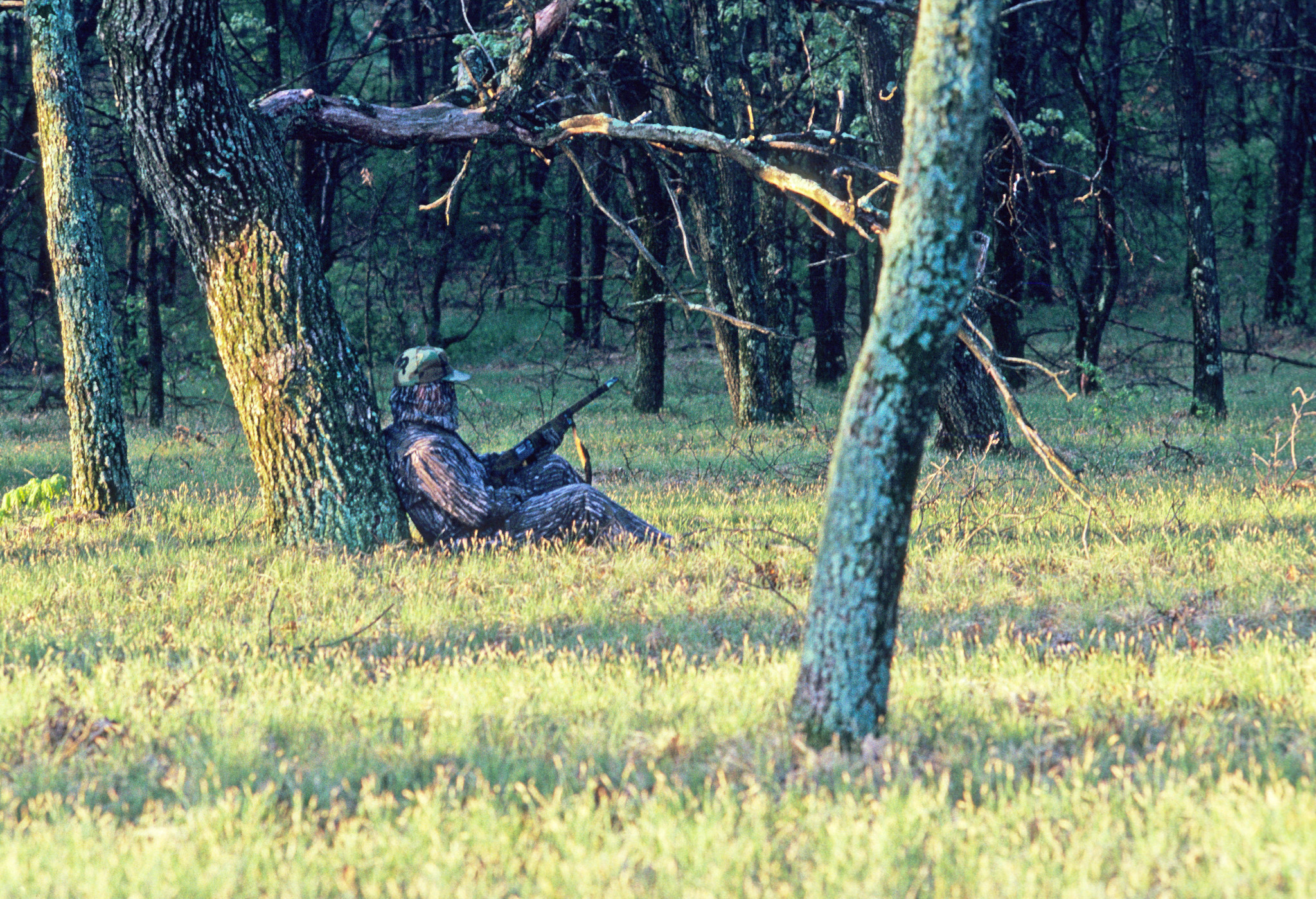 Dress For Success This Turkey Season Wisconsin DNR